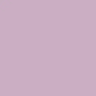 Orchid Purple