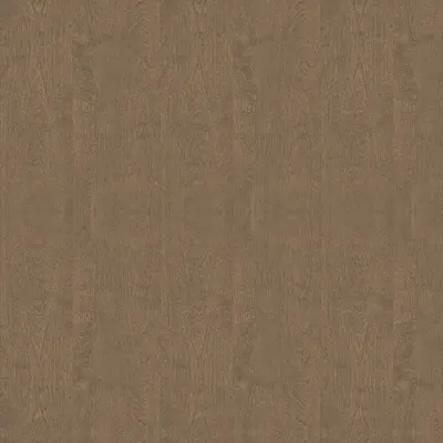 Mocha