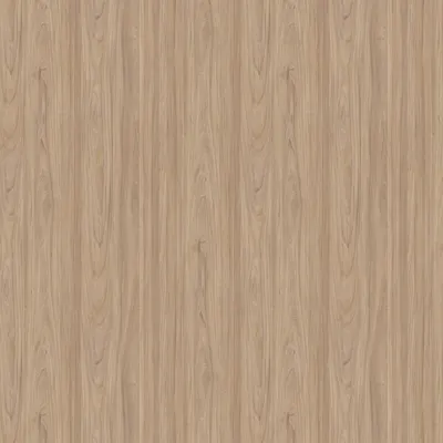 Natural Elm